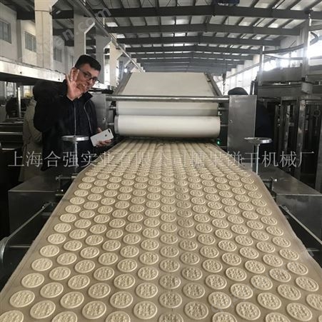 韧性饼干设备 全自动苏打饼干生产线制造商 上海合强HQ-BG400型韧性饼干加工设备