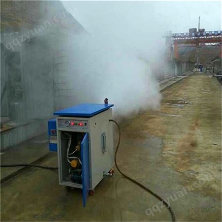 上海桥梁蒸汽养护器生产 林州100KG燃油混凝土养生机