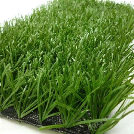 价格详情时金绿化 地毯草坪新品上市出售 人造仿真草坪