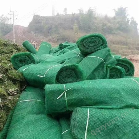 路通定制生产 绿色生态袋 草籽植生袋 护坡固土 指导施工