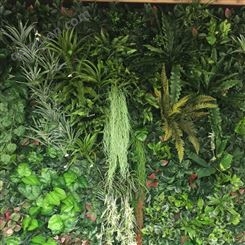 安徽植物墙用途  绿墙制造