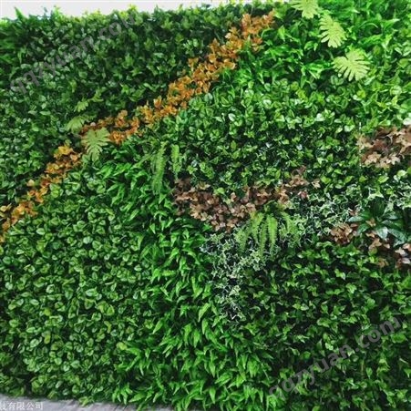 生态植物墙设计