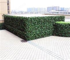 安徽植物生态墙效果图  出售