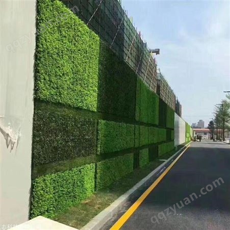安徽植物生态墙效果图  出售