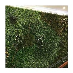 绿色生态植物墙 上海家居垂直植物墙定制