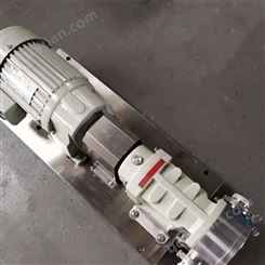 定制 卧式高粘度转子泵 胶水沥青树脂保温输送泵 内环式高粘度转子泵 可定制