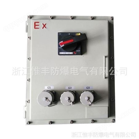 BXS检修电源插座箱 带挂锁防爆插座箱