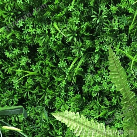 仿真蕨类植物草坪背墙装饰造景盆栽真假树花草定制批发