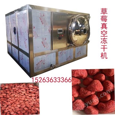 草莓冻干机 冻干草莓粉生产设备 轩逸机械