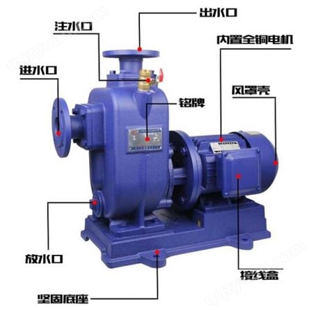 直联式自吸排污水泵 无堵塞提升管道大流量循环离心泵货号JC22549