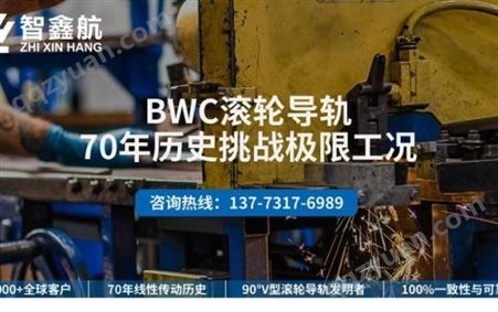 美国进口BWC低温高速滚轮低摩擦长寿命低温V型滚轮导轨 W4XXL