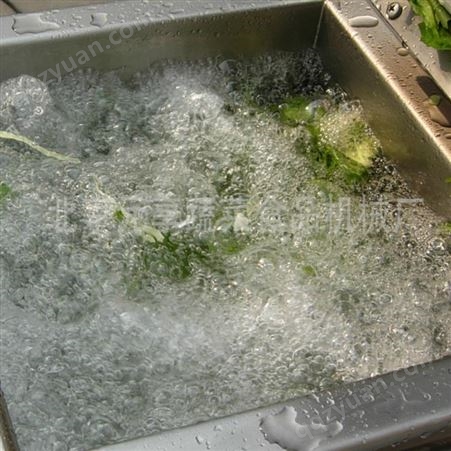 蔬菜漂洗机-漂烫机-元享机械