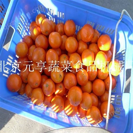 北京不锈钢切菜机设备生产厂家 蔬菜瓜果切丝机报价 多功能切菜机 -元享机械