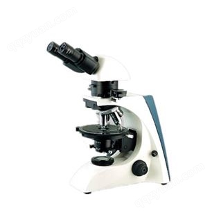 BK-POL双目透射偏光显微镜 实验室偏光显微镜 大视野目镜 铰链式双目观察筒