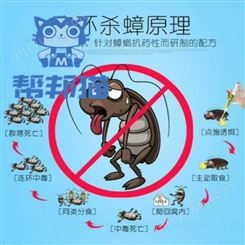 广州猎德除苍蝇防治白蚁 杀蟑螂 灭老鼠上门价格多少