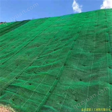 诺联护坡三维植被网 植草绿化三维网 多规格加工定制