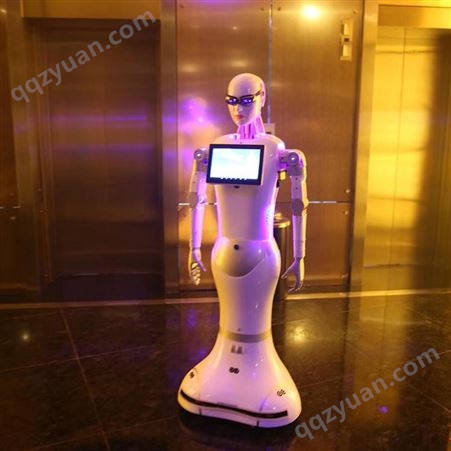 智能人形小澳机器人功能 卡特人形机器人效果