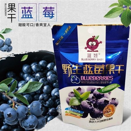 蓝娃牌新品休闲食品 营养美味蓝莓果干 16g袋装蓝莓干