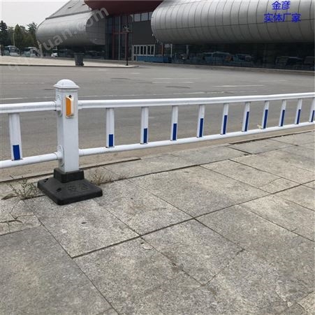 市政保护栏 南昌市政保护栏 道路隔离护栏 金彦厂家供应