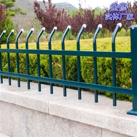 塑料草坪护栏 锌钢道路栏杆 安徽锌钢围墙护栏 金彦 