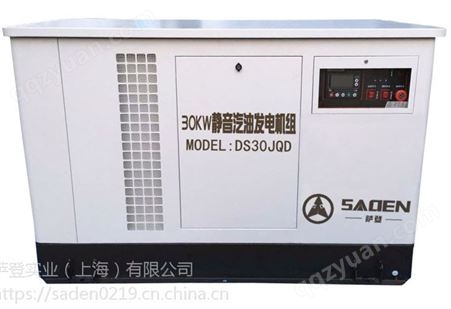 萨登DS10JQD汽油发电机大型车载可货到付款