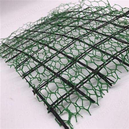 三维土工植草网垫 保护植被沙漠固土 斜坡绿化EM3 3D立体网诺联