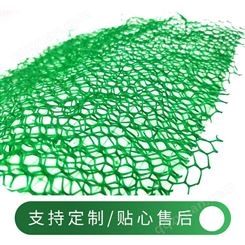 三维土工植草网垫 保护植被沙漠固土 斜坡绿化EM3 3D立体网诺联
