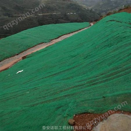 衢州高速护坡三维植被网 护坡绿化固土三维植草网垫厂家