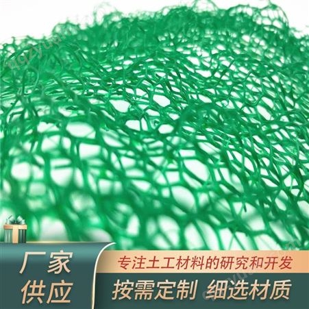 诺联三维植被网耐腐蚀 抗老化三维植被网使用范围广泛质量保障