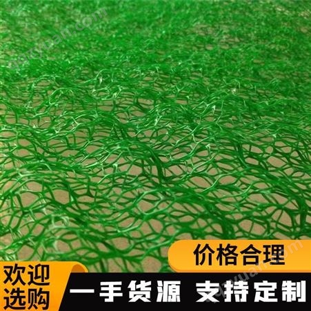 三维植草护坡网 厂家现货 无中间商 三维植被网 诺联材料