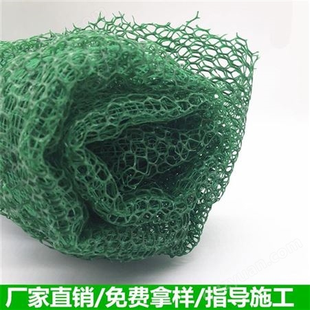 现货三维植被网EM3护坡植草网规格多样塑料三维植被网诺联
