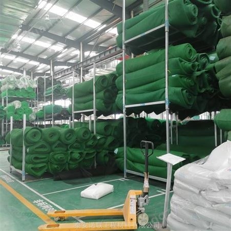 护坡三维立体土工网垫 诺联生产三维植被网 多规格三维植被网厂家