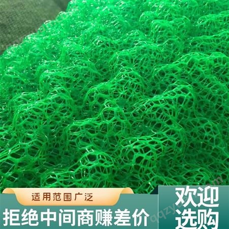 三维植草护坡网 厂家现货 无中间商 三维植被网 诺联材料
