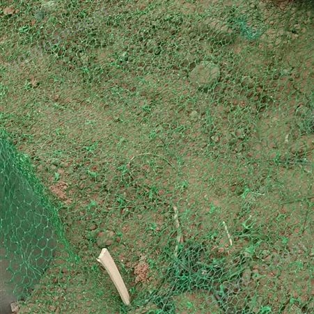 NSS4(2-1)三维植被网 河道边坡绿化 多层加筋三维植被网