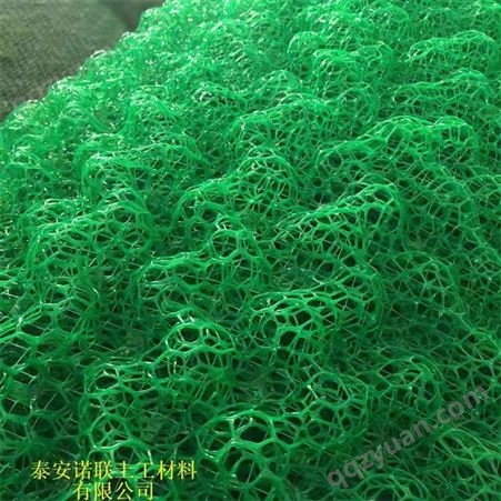 诺联山东三维植被网两层三层四层量大价优护坡固土三维土工网