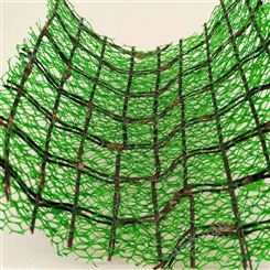 NSS4(2-1)三维植被网 河道边坡绿化 多层加筋三维植被网