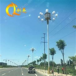 LED中华灯 市政工程道路灯8米12米15米大型中华灯路灯生产厂家