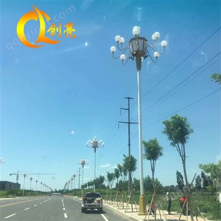 LED中华灯 市政工程道路灯8米12米15米大型中华灯路灯生产厂家