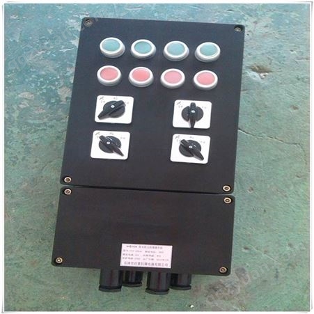 FXD-S-T/4K工程塑全塑防水防尘防腐动力配电箱多个回路可定制