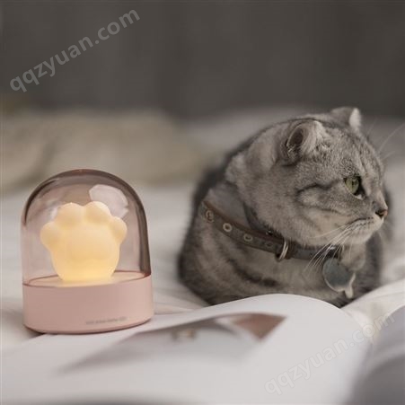 创意可爱猫爪灯 充电床头伴睡音乐灯小夜灯卡通氛围usb灯跨境爆款