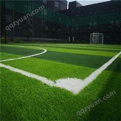 人造草足球场 球场地坪 人造草坪 胜飞康体厂家生产足球场地面材料 硅pu球场地坪